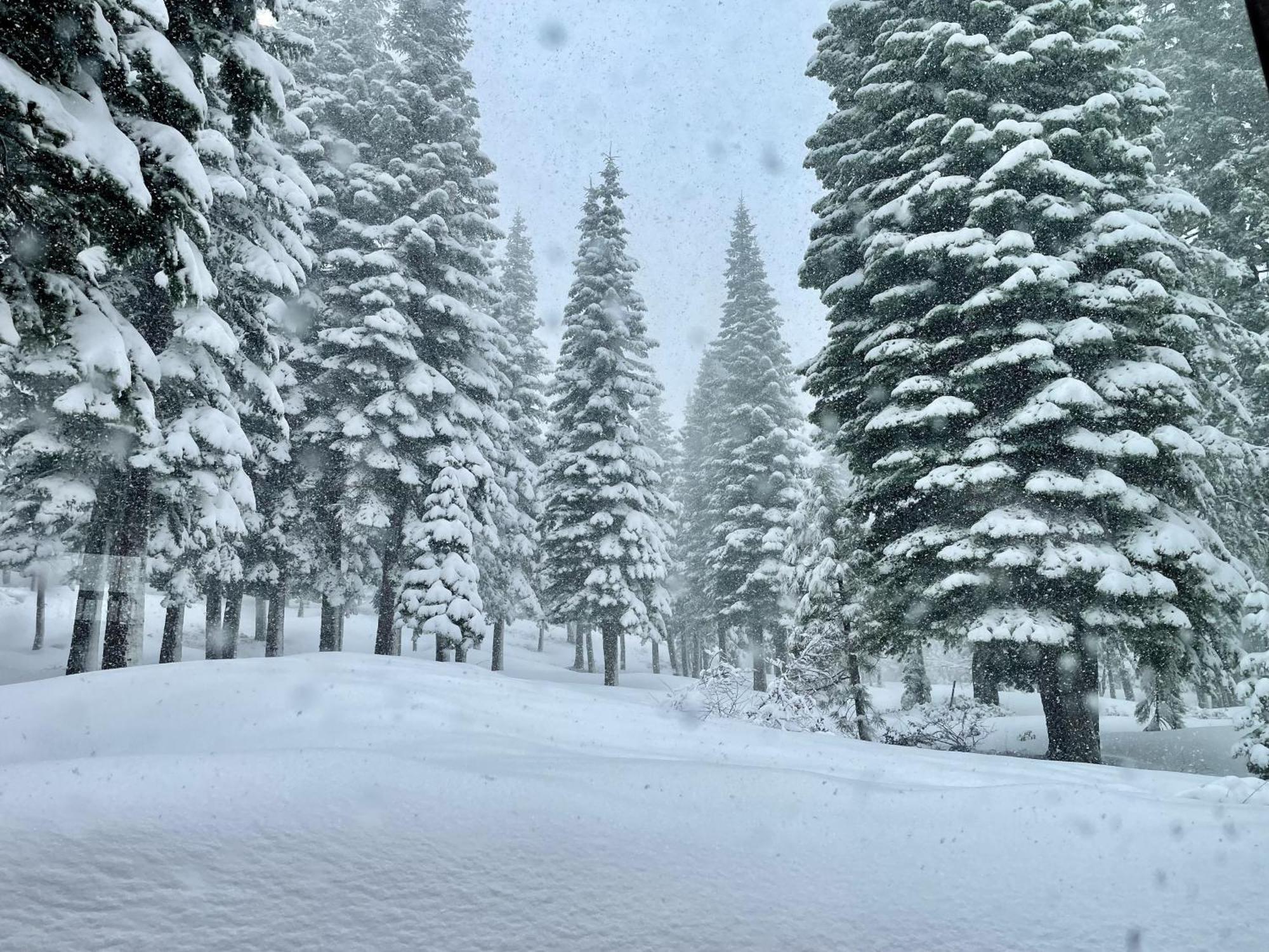 Bear Meadows Lodge - Hot Tub - Tahoe Donner Home Truckee Luaran gambar
